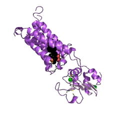 Example Structure of vitamin-K-epoxide reductase (warfarin-insensitive) EC#: 1.1.4.2