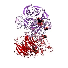 Example Structure of glucose 1-dehydrogenase (PQQ, quinone) EC#: 1.1.5.2