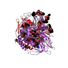 Example Structure of glycerol-3-phosphate dehydrogenase EC#: 1.1.5.3