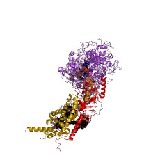 Example Structure of formate dehydrogenase-N EC#: 1.1.5.6