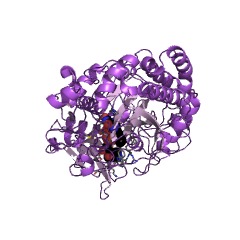 Example Structure of glucose 1-dehydrogenase (FAD, quinone) EC#: 1.1.5.9