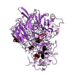 Example Structure of alcohol dehydrogenase (azurin) EC#: 1.1.9.1