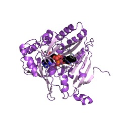 Example Structure of decaprenylphospho-beta-D-ribofuranose 2-dehydrogenase EC#: 1.1.98.3