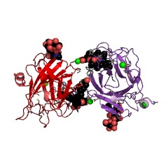 Example Structure of cellobiose dehydrogenase (acceptor) EC#: 1.1.99.18