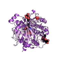 Example Structure of pyranose dehydrogenase (acceptor) EC#: 1.1.99.29