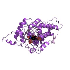 Example Structure of (S)-mandelate dehydrogenase EC#: 1.1.99.31