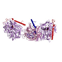 Example Structure of alcohol dehydrogenase (acceptor) EC#: 1.1.99.8