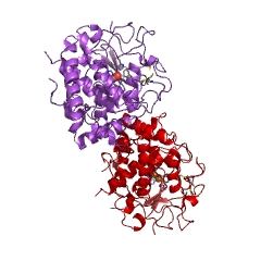 Example Structure of catechol oxidase EC#: 1.10.3.1