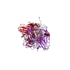 Example Structure of L-ascorbate oxidase EC#: 1.10.3.3