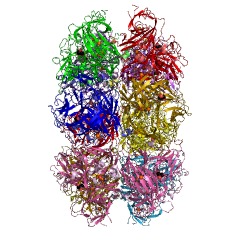 Example Structure of o-aminophenol oxidase EC#: 1.10.3.4