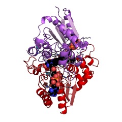Example Structure of ribosyldihydronicotinamide dehydrogenase (quinone) EC#: 1.10.5.1