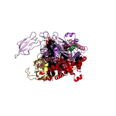 Example Structure of plastoquinol-plastocyanin reductase EC#: 1.10.9.1