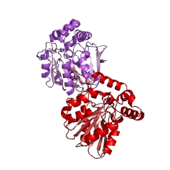 Example Structure of chloride peroxidase EC#: 1.11.1.10