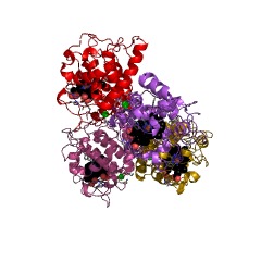 Example Structure of L-ascorbate peroxidase EC#: 1.11.1.11
