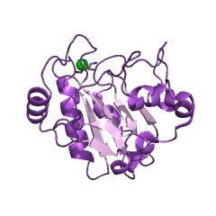 Example Structure of phospholipid-hydroperoxide glutathione peroxidase EC#: 1.11.1.12