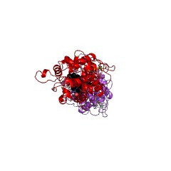 Example Structure of lignin peroxidase EC#: 1.11.1.14