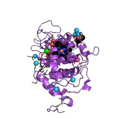 Example Structure of versatile peroxidase EC#: 1.11.1.16