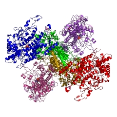 Example Structure of bromide peroxidase EC#: 1.11.1.18