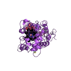 Example Structure of peroxidase EC#: 1.11.1.7