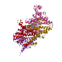 Example Structure of glutathione peroxidase EC#: 1.11.1.9