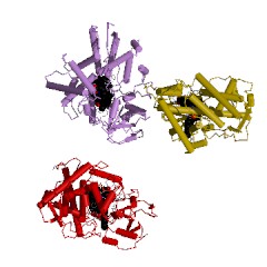 Example Structure of fatty-acid peroxygenase EC#: 1.11.2.4