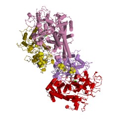 Example Structure of cytochrome-c3 hydrogenase EC#: 1.12.2.1