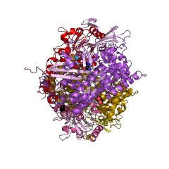Example Structure of hydrogen:quinone oxidoreductase EC#: 1.12.5.1