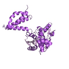 Example Structure of 5,10-methenyltetrahydromethanopterin hydrogenase EC#: 1.12.98.2