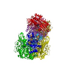 Example Structure of hydrogenase (acceptor) EC#: 1.12.99.6