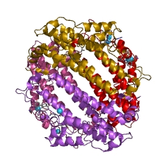 Example Structure of tryptophan 2,3-dioxygenase EC#: 1.13.11.11