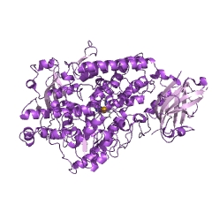 Example Structure of linoleate 13S-lipoxygenase EC#: 1.13.11.12