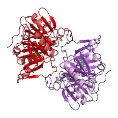 Example Structure of 3,4-dihydroxyphenylacetate 2,3-dioxygenase EC#: 1.13.11.15