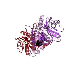 Example Structure of 3,4-dihydroxy-9,10-secoandrosta-1,3,5(10)-triene-9,17-dione 4,5-dioxygenase EC#: 1.13.11.25