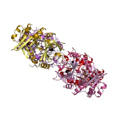 Example Structure of 4-hydroxyphenylpyruvate dioxygenase EC#: 1.13.11.27