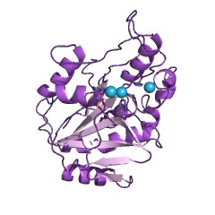 Example Structure of stizolobate synthase EC#: 1.13.11.29