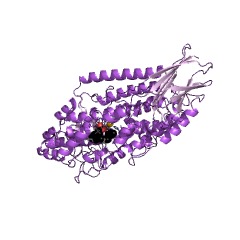 Example Structure of arachidonate 15-lipoxygenase EC#: 1.13.11.33