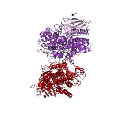Example Structure of arachidonate 5-lipoxygenase EC#: 1.13.11.34