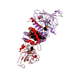 Example Structure of hydroxyquinol 1,2-dioxygenase EC#: 1.13.11.37