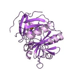 Example Structure of biphenyl-2,3-diol 1,2-dioxygenase EC#: 1.13.11.39