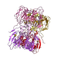 Example Structure of gentisate 1,2-dioxygenase EC#: 1.13.11.4
