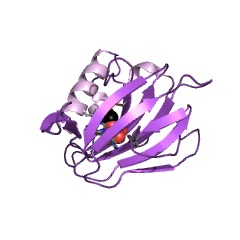 Example Structure of 2,4'-dihydroxyacetophenone dioxygenase EC#: 1.13.11.41