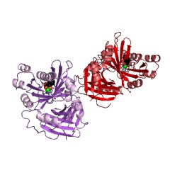 Example Structure of 4-hydroxymandelate synthase EC#: 1.13.11.46