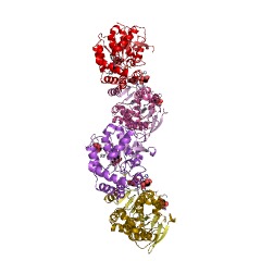 Example Structure of 3-hydroxy-2-methylquinolin-4-one 2,4-dioxygenase EC#: 1.13.11.48