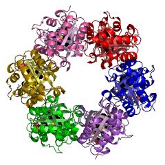Example Structure of chlorite O2-lyase EC#: 1.13.11.49
