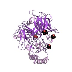 Example Structure of 9-cis-epoxycarotenoid dioxygenase EC#: 1.13.11.51