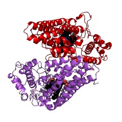 Example Structure of indoleamine 2,3-dioxygenase EC#: 1.13.11.52