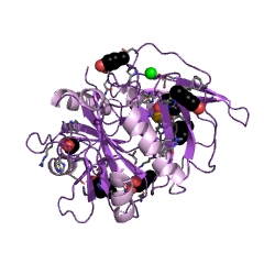 Example Structure of 1,2-dihydroxynaphthalene dioxygenase EC#: 1.13.11.56