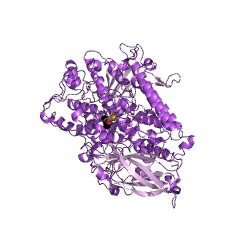 Example Structure of linoleate 9S-lipoxygenase EC#: 1.13.11.58