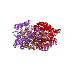 Example Structure of 2-aminophenol 1,6-dioxygenase EC#: 1.13.11.74