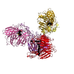 Example Structure of all-trans-8'-apo-beta-carotenal 15,15'-oxygenase EC#: 1.13.11.75